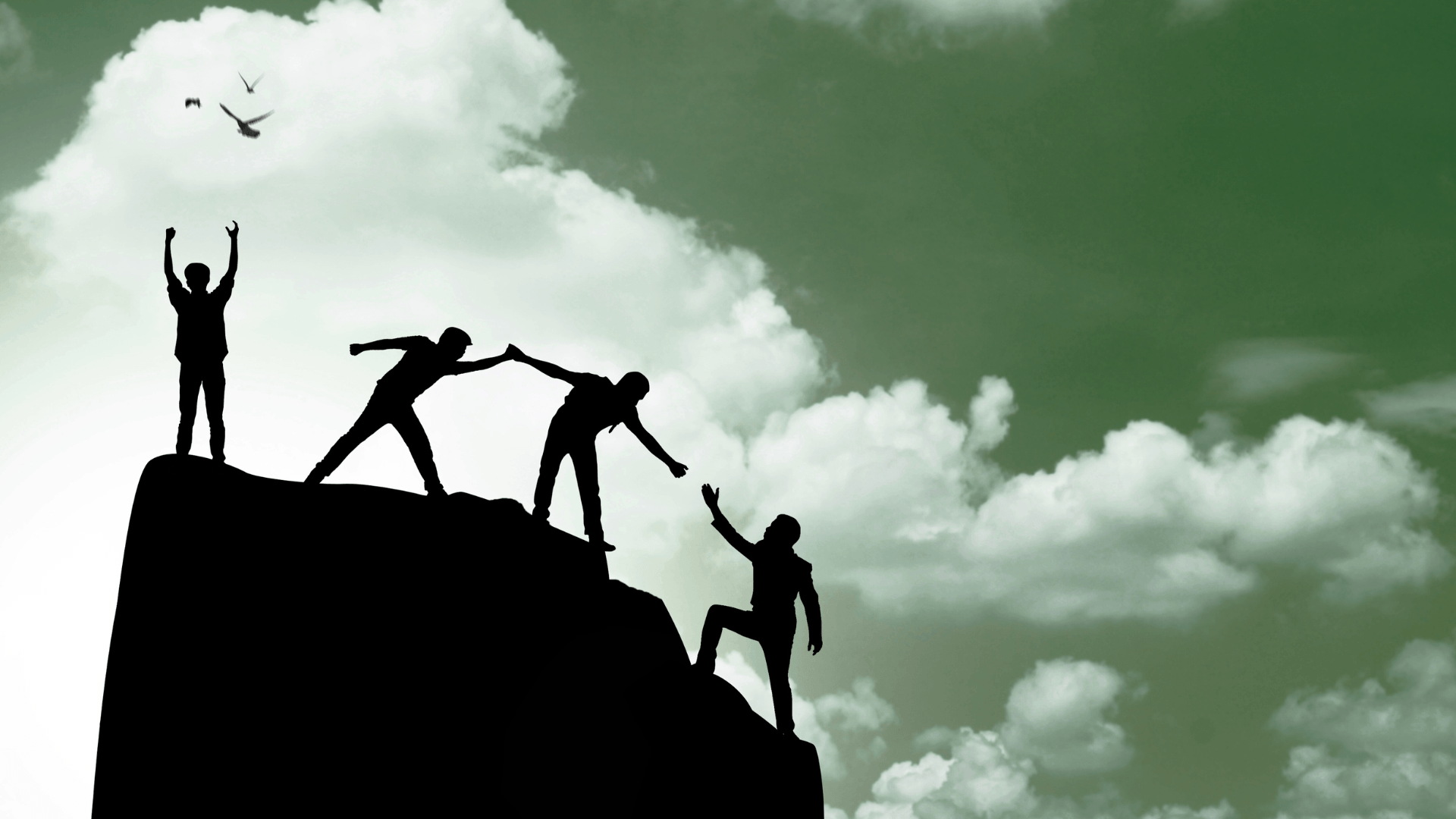 cover image of No one is left behind.